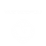 LOGO VIVIFY W