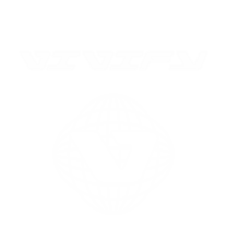 LOGO VIVIFY W