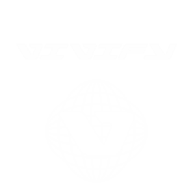 LOGO VIVIFY W