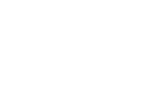 Merlz logo